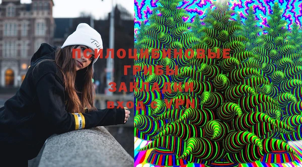 mdpv Няндома