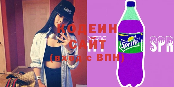 индика Нягань