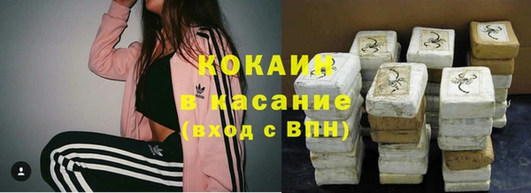 твердый Новозыбков