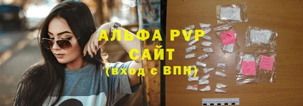 индика Нягань