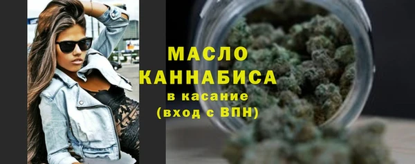 индика Нягань