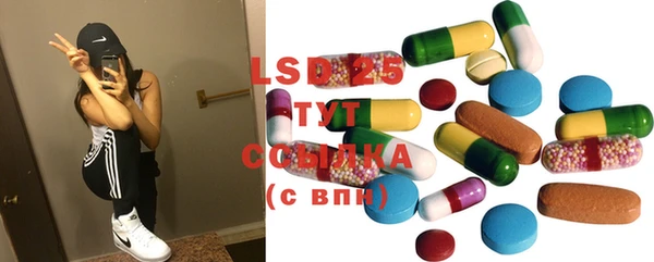 твердый Новозыбков