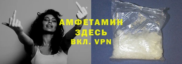 твердый Новозыбков
