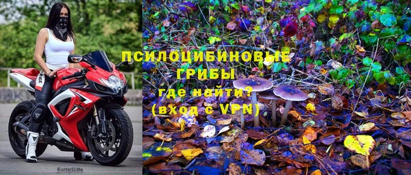 mdpv Няндома