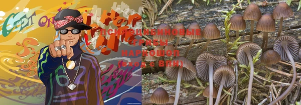 mdpv Няндома