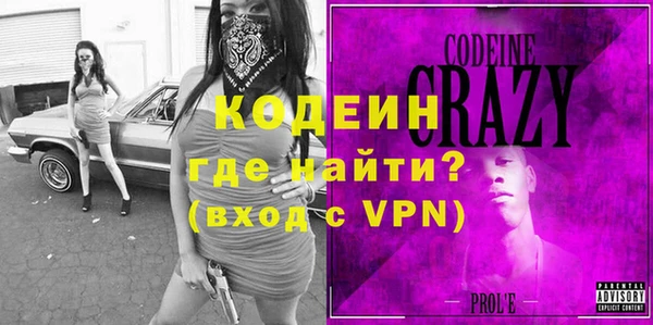 индика Нягань
