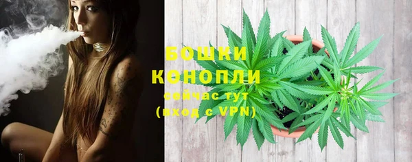индика Нягань